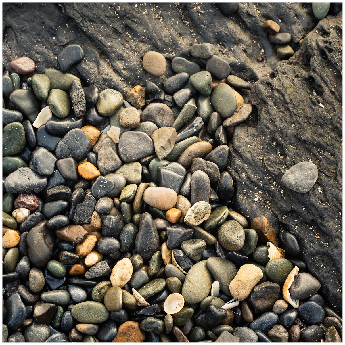 Irelandwildland's tweet photo. #withinanirishmile  - Stones near High Rock, Malahide, Co Dublin

#irishmile #2kmfromhome #lovedublin #irelandsancienteast #StaySafe #StaySafeStayHealthy #dailywalk #wfh #Dublin #malahide #portmarnock #intimatelandscape #art #artphotography https://t.co/qTAo0cn2XL