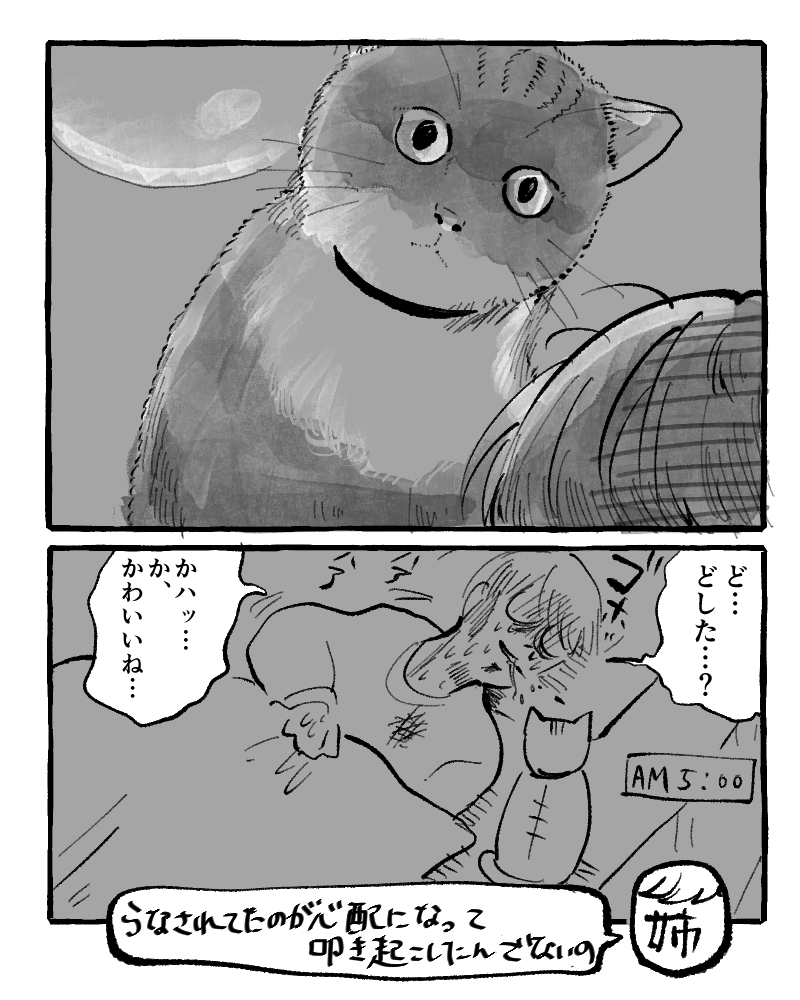 今朝 ※実録 