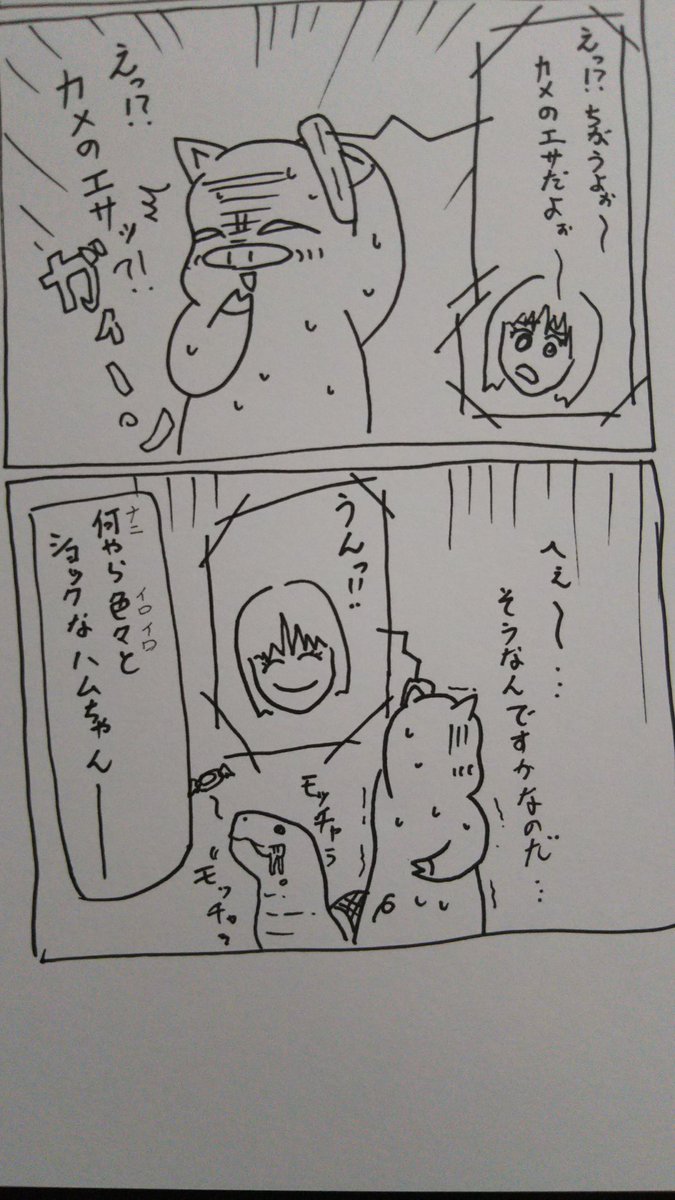 『こぶたのハムちゃん』
落書きハムちゃんシリーズ

ノンフィクションなのだぁ～✨
#こぶたのハムちゃん #芸術同盟 #四コマ漫画 #漫画家志望さんと繋がりたい 