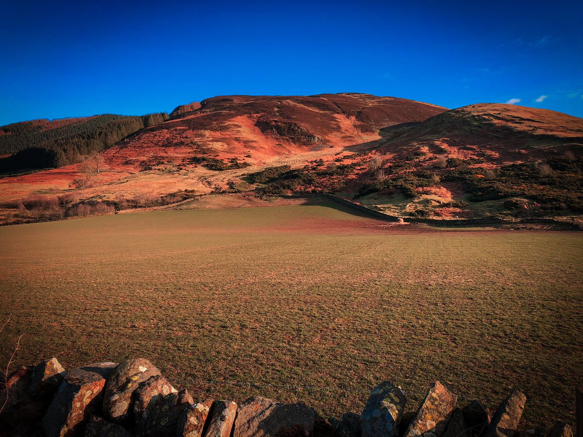 erb_ruth's tweet photo. Ochil hills #DailyExercise #walking #scotland #naturephotography #nature #NaturalBeauty #NatureTherapy #thursdaymorning https://t.co/Qk27fPBZ0m