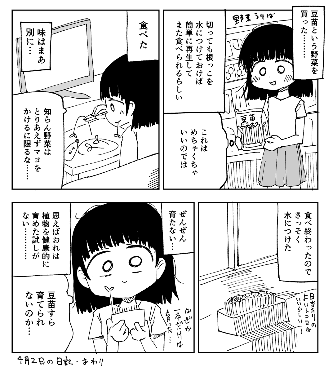 豆苗を育てたけどダメだった 