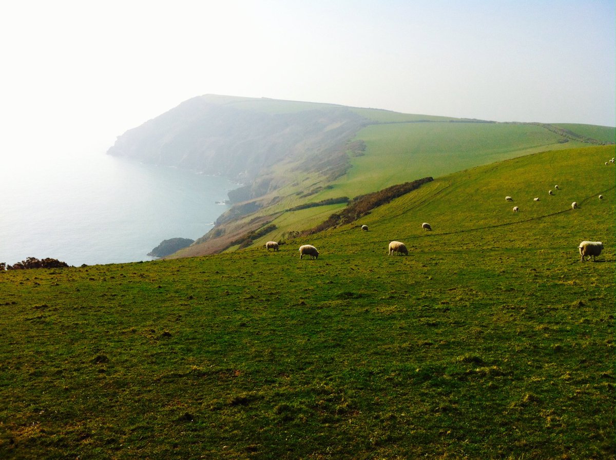 AnnTattam's tweet photo. this is #myfavouriteplace       #Photoaday16 ⁦@Jon_Clifton78⁩ it’s in south Cornwall a good walk down a steep cliff to a beautiful deserted beach exact location a secret https://t.co/2FUF3jebic
