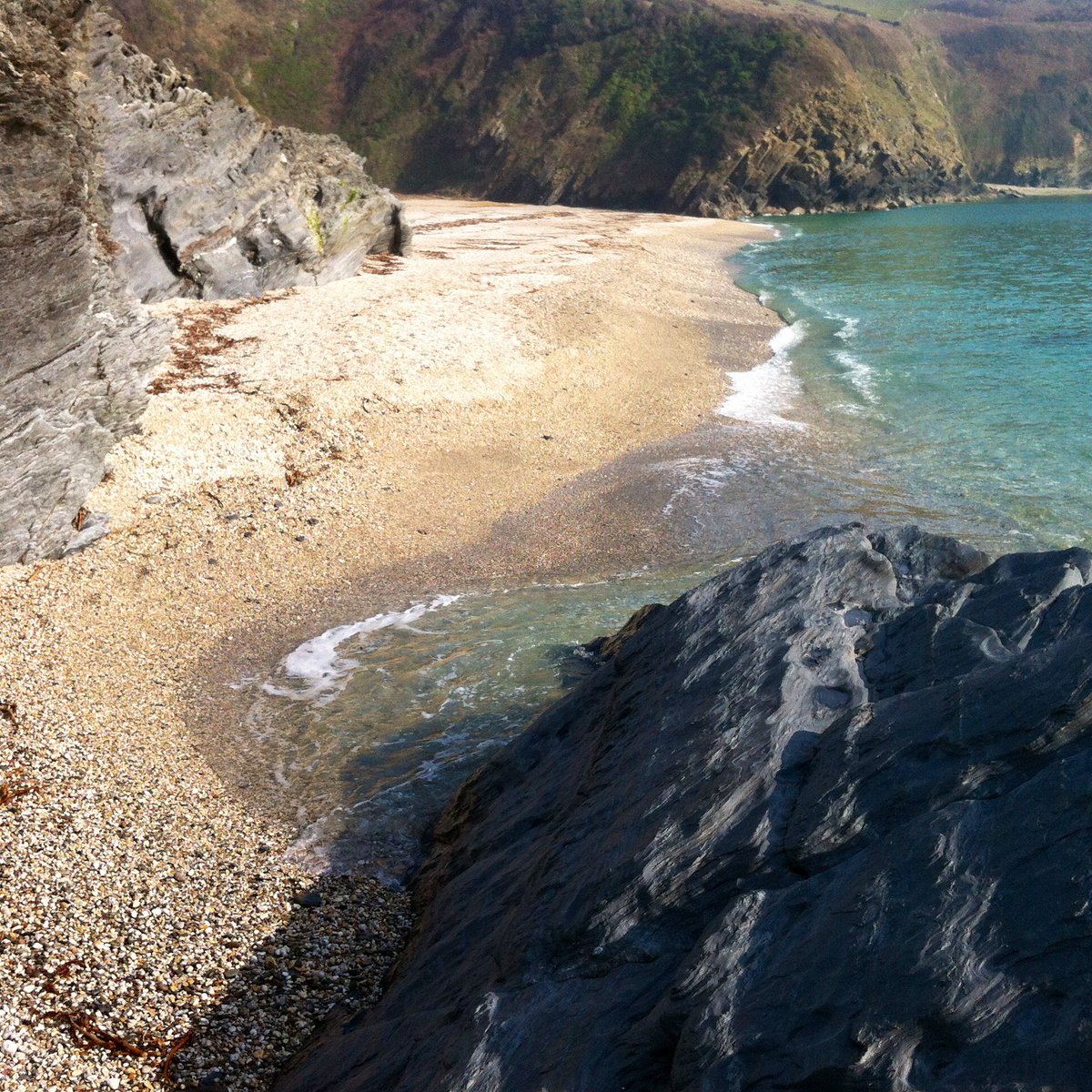 AnnTattam's tweet photo. this is #myfavouriteplace       #Photoaday16 ⁦@Jon_Clifton78⁩ it’s in south Cornwall a good walk down a steep cliff to a beautiful deserted beach exact location a secret https://t.co/2FUF3jebic