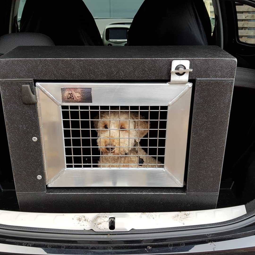 CABboxes's tweet photo. Bonzo enjoying one of our favourite boxes we have ever made. CAB1 box with rear escape panel in a Toyota Aygo #cabtransitboxes #cabanimaltransitboxes #cab #cabbox #cabboxsystem #cabtransitbox #dogbox #settingthestandard #bespoke #dogbox #dogtransitbox #dogtransitbox #toyotaaygo https://t.co/vu23f1YAzC