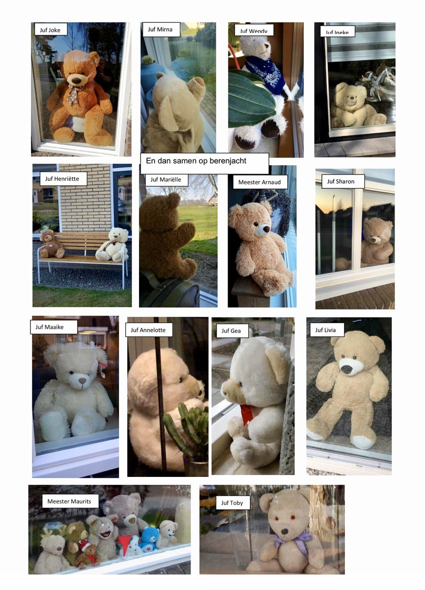 Wij hebben al vele beren laten ‘vangen’! Maar ze zitten er nog wel een poosje langer voor de #berenjacht