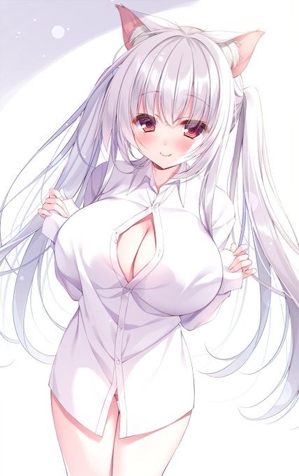 シャツのボタンが閉まらないねこ 