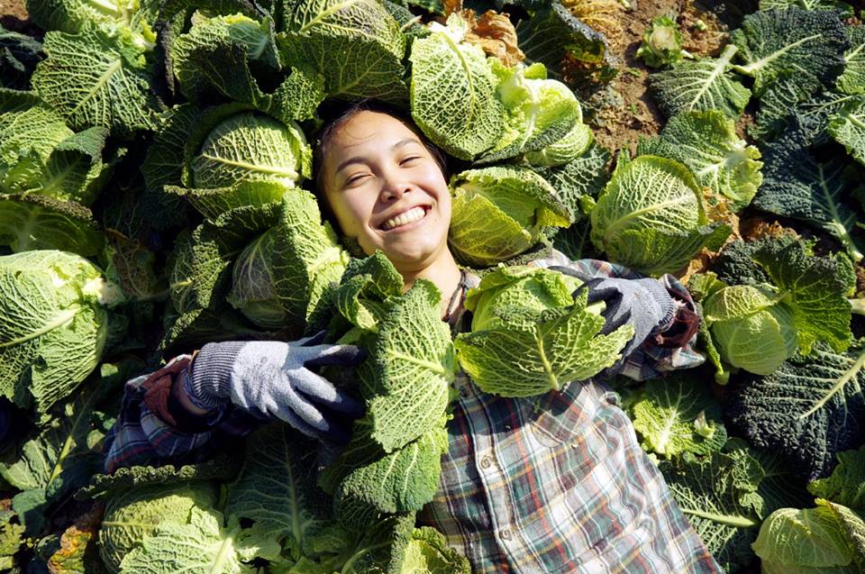 Foodrise tweet media