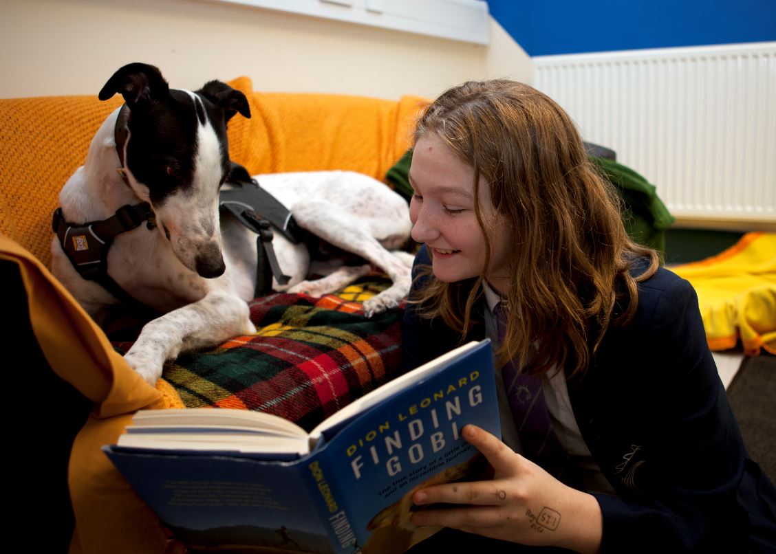 Learning to read can be a daunting task for children. In the past we have had school groups visit us to read to our dogs. Having a non-judgmental canine friend often helps to improve reading confidence. It’s even something you can try at home! #InternationalChildrensBookDay