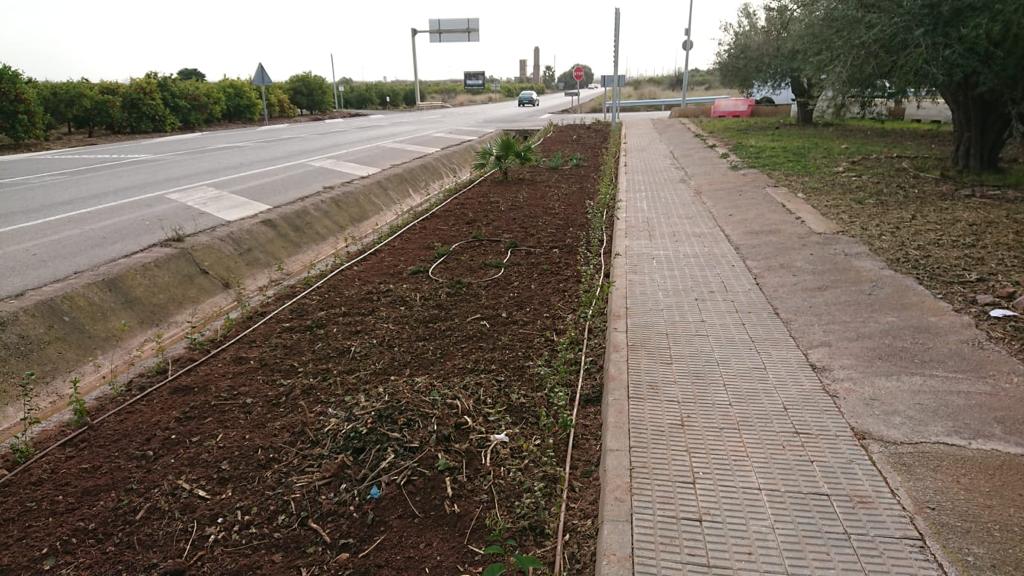 Paimed_es's tweet photo. 🌳 Desde Paimed, hemos llevado a cabo el proyecto de ajardinamiento y puesta a punto de las zonas verdes del Polígono Industrial de Almenara (Castellón). 🍃

#greentechnology #landscaping #paimed #areasverdes #jardines #mantenimiento https://t.co/IYfQtBvJrm