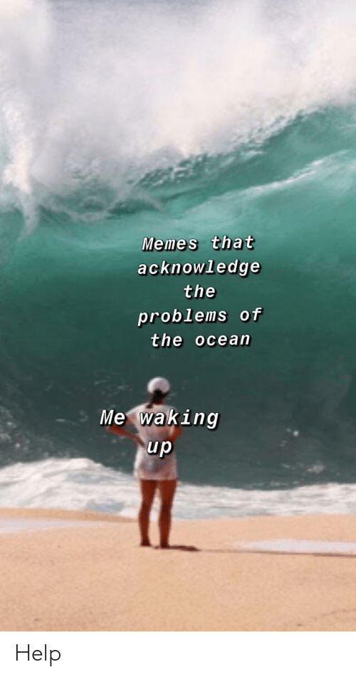 OceanScenic's tweet photo. Wakey wakey, folks! https://t.co/nYmwcCoptj