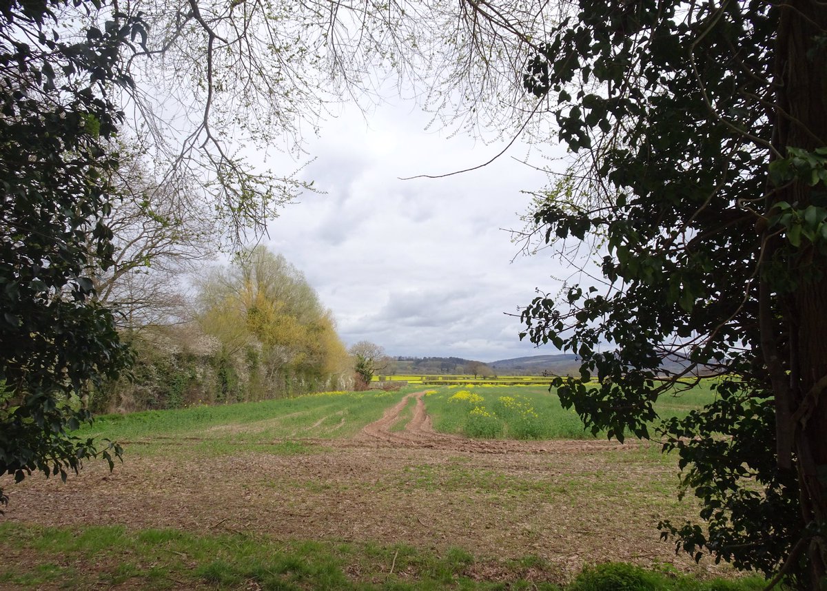 mackerelsky17's tweet photo. #NotCornwall, but a pic from yesterdayโs permitted exercise route on a grey day in Herefordshire. https://t.co/D7kB3Da0XO