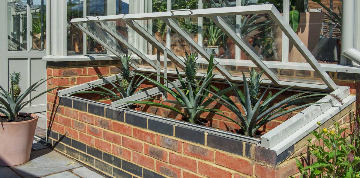 Hartleybotanic's tweet image. A coldframe is a practical addition made to match your Glasshouse, this provides protection for plants against cold weather, while being the perfect interim environment for efficient ‘hardening off’ of Greenhouse-grown plants.

#Coldframe #Greenhouse