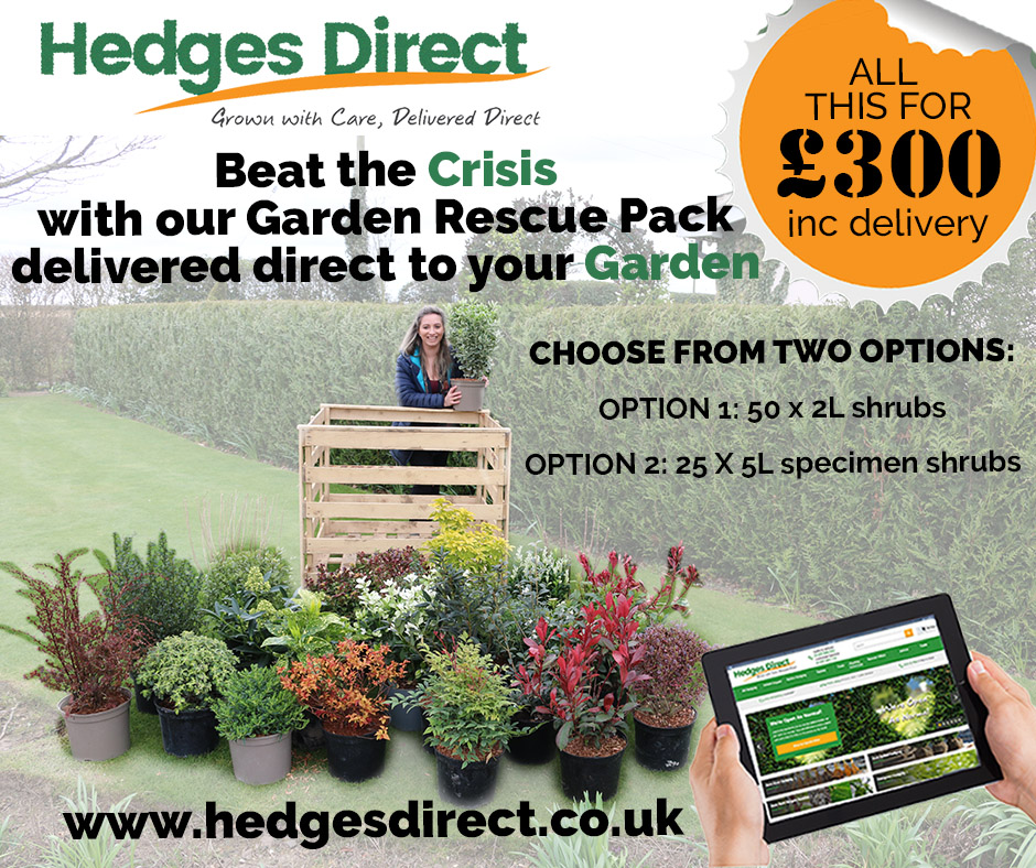JohnsonsPlants's tweet photo. 📢We are excited to announce that we are teaming up with our customer @hedgesdirect to beat the crisis with garden rescue packs delivered directly to your Garden.

Find out more here ⬇️➡️https://t.co/64bQdNwoCM

#Garden #Gardening #Plants #Planting #Outdoors #Nursery #Growers https://t.co/yIrL2hUO1C