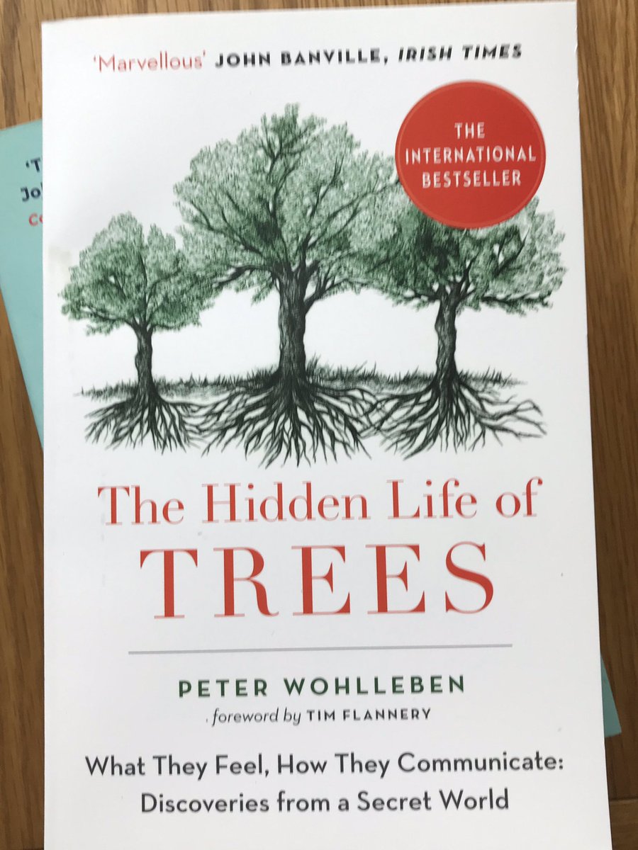 missSmakepeace's tweet photo. Amazon order of books arrived today including this. Recommended by a student for its strong links to the water and carbon element of the course! #hiddenlifeoftrees🌳 https://t.co/oZF326n4Tp