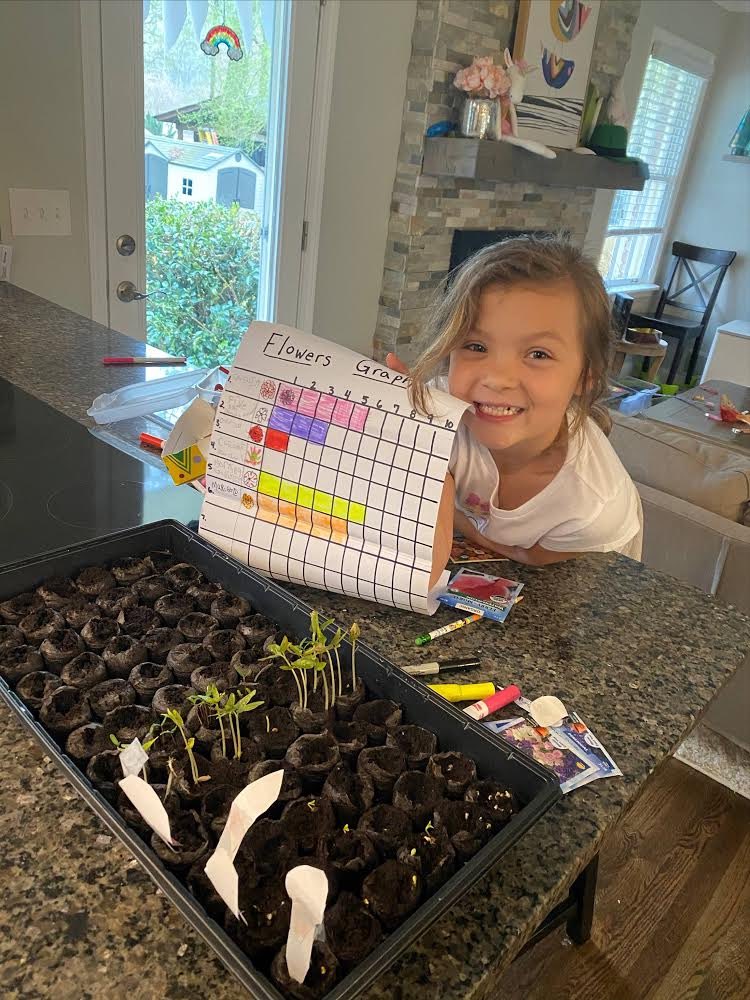 mancinelli_sm's tweet photo. Integrating science and math! Anna’s growing flowers and graphing them. 🌸🌼 #FCSrising @ManningOaksFCS https://t.co/U7ahG4bGWw
