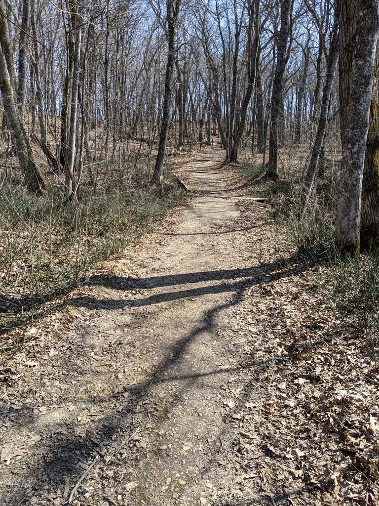 Goodbye, Nerstrand! It's been real.I'll have to come back when the vegetation is more active. – at  Nerstrand Big Woods State Park