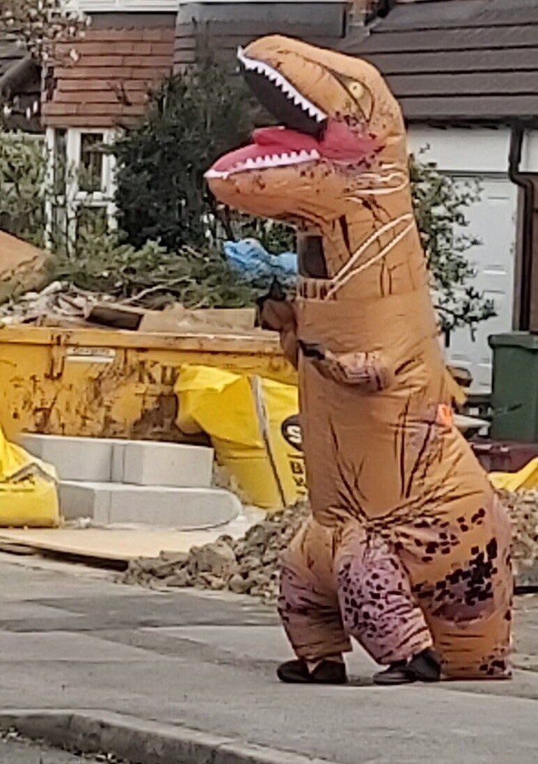 T-Rex taking his daily exercise in #Shirley 🦖

(Image: Ceinwen Bran).