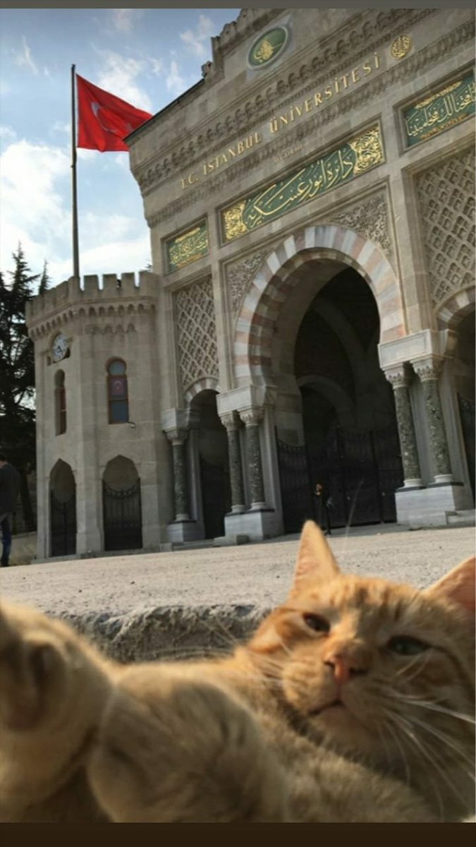 Mükemmel. Bakın görüyorsunuz. Anlatmaya gerek yok, konuşmuyorum. Görüyorsunuz. Bakın mükemmel.