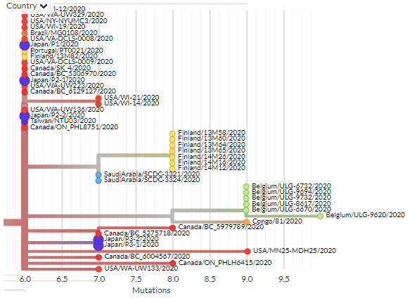 The 16 Japanese seqs have a reported shared travel history. They form two separate groups, both among globally diverse clusters predominantly European/American.(Thanks to National Institute of Infectious Diseases, Japan)3/3