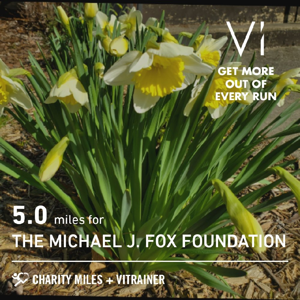 APDAmidwest's tweet photo. 5.04 @CharityMiles for @MichaelJFoxOrg. Thx @Vi_Trainer for sponsoring me!
https://t.co/b8SxT1Lt6q https://t.co/asfmtrSK4s