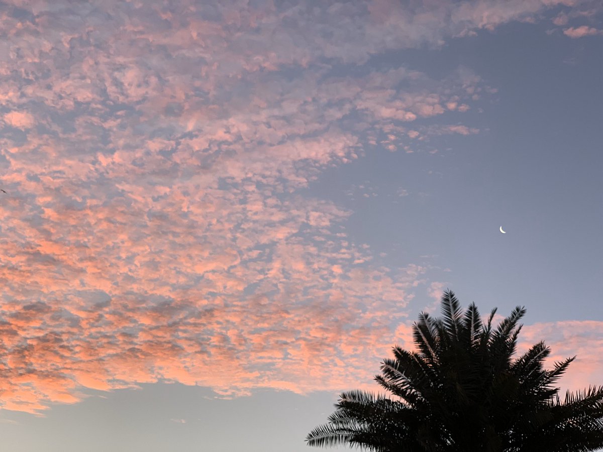 gregnah's tweet photo. #المنطقه_الشرقيه

❤️❤️❤️❤️❤️❤️
أجمل مكان واحلى مكان https://t.co/lSZqNqtXY4