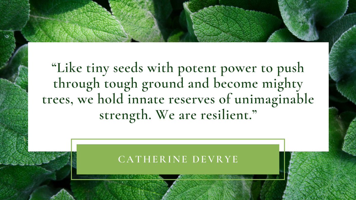 JohnCarrollU CSSA on Twitter: "Quote of the week: "Like tiny seeds with potent power to push through tough ground and become mighty trees, we hold innate reserves of unimaginable strength. We are