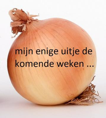 NLworkshops's tweet photo. Ben je een #taalliefhebber? Volg Onze Taal: dat is leuk! https://t.co/JPYCHCj1y1 of @onzetaal. Kijk ook eens op https://t.co/gRiJvMk1yI 👍 voor #taaltips https://t.co/9QrlJJ6kcd