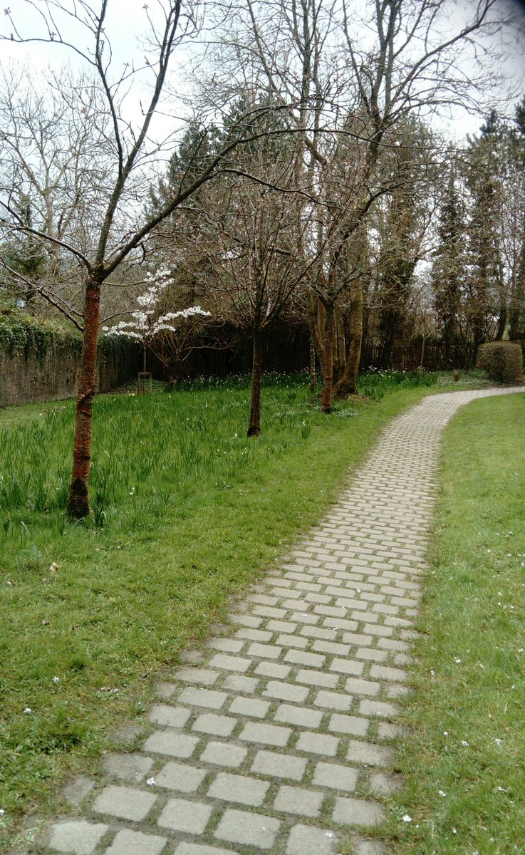 #100daysofwalking #Springcolour in the beautifully maintained Town Park #Letterkenny