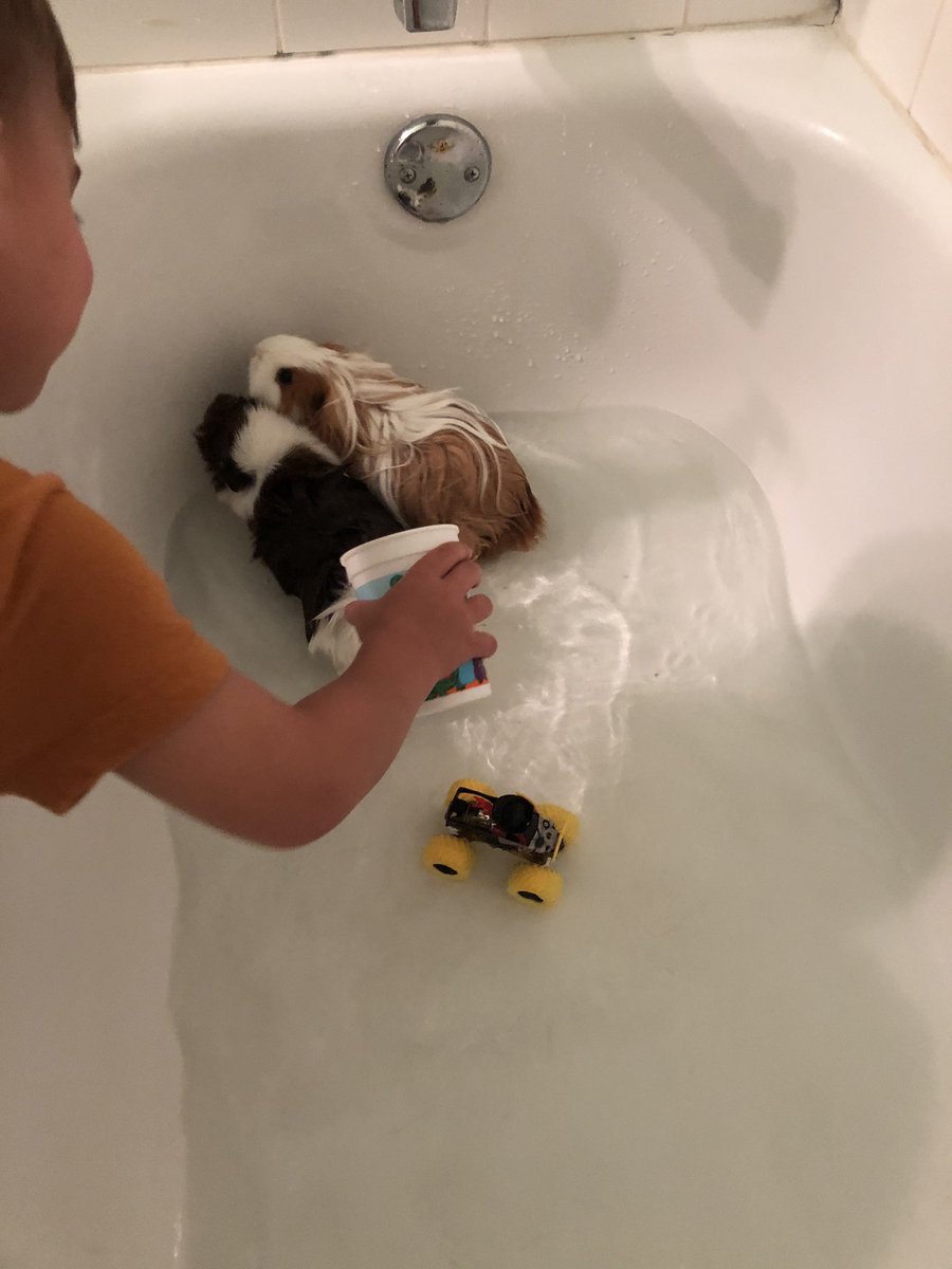 DecenaJessica's tweet photo. Giving the class pets a bath! This kid sure knows how to love these girls! @LJJacksonECC  #LISDatHome https://t.co/5I1yxTKoox