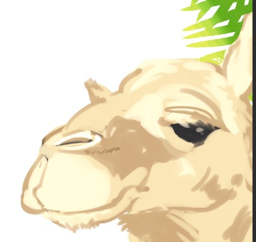 ラクダのtwitterイラスト検索結果 ラクダのtwitterイラスト検索結果