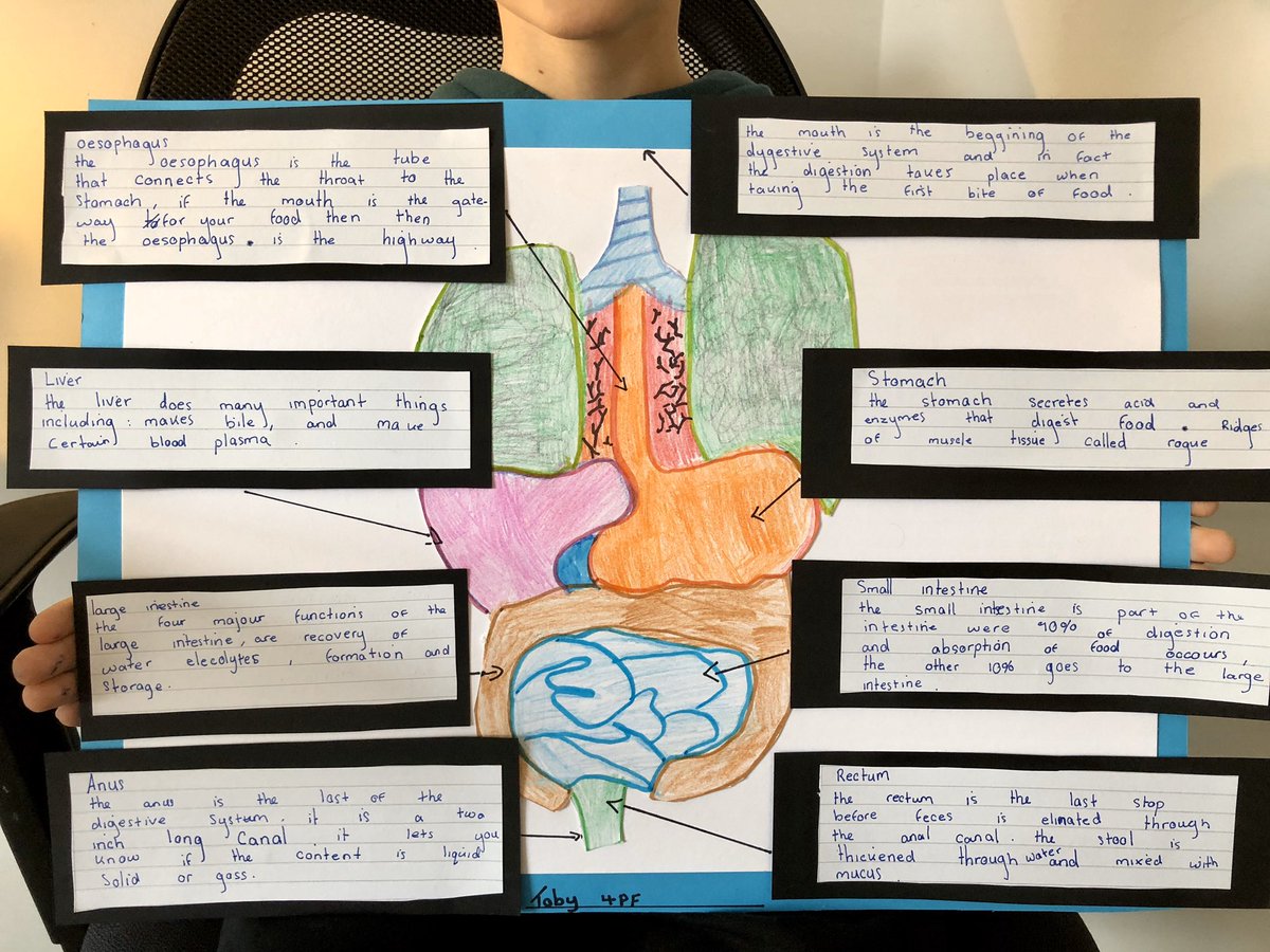 chlobogriff's tweet photo. @GorseyY4 Toby has worked all afternoon on his project today ⭐️@GorseyBank #gorseyfromhome https://t.co/AH70HOGJq1