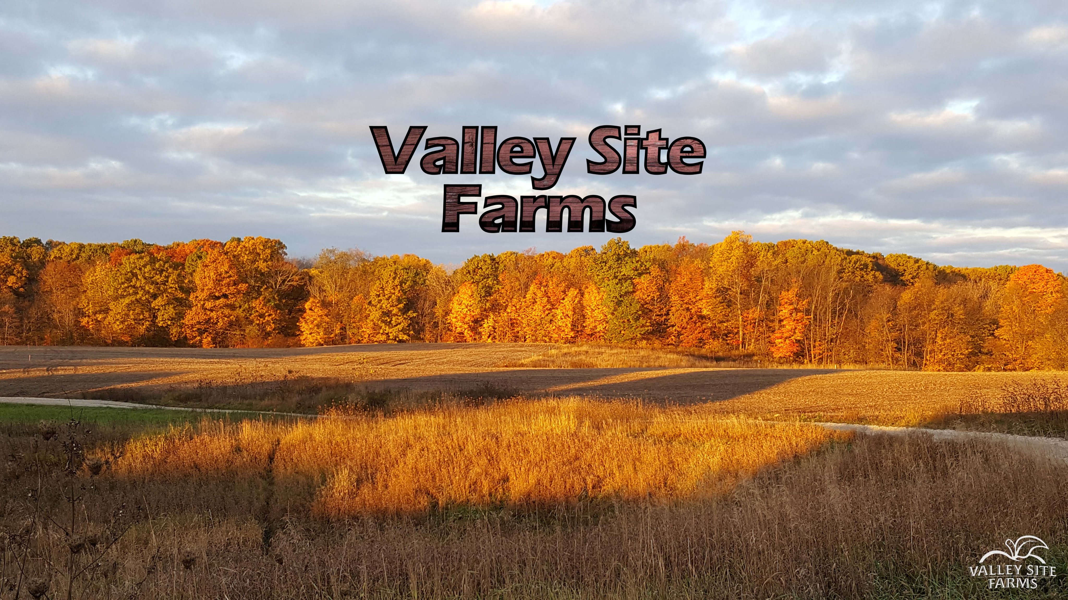 Engelsma Homes (Engelsma_Homes) / Twitter