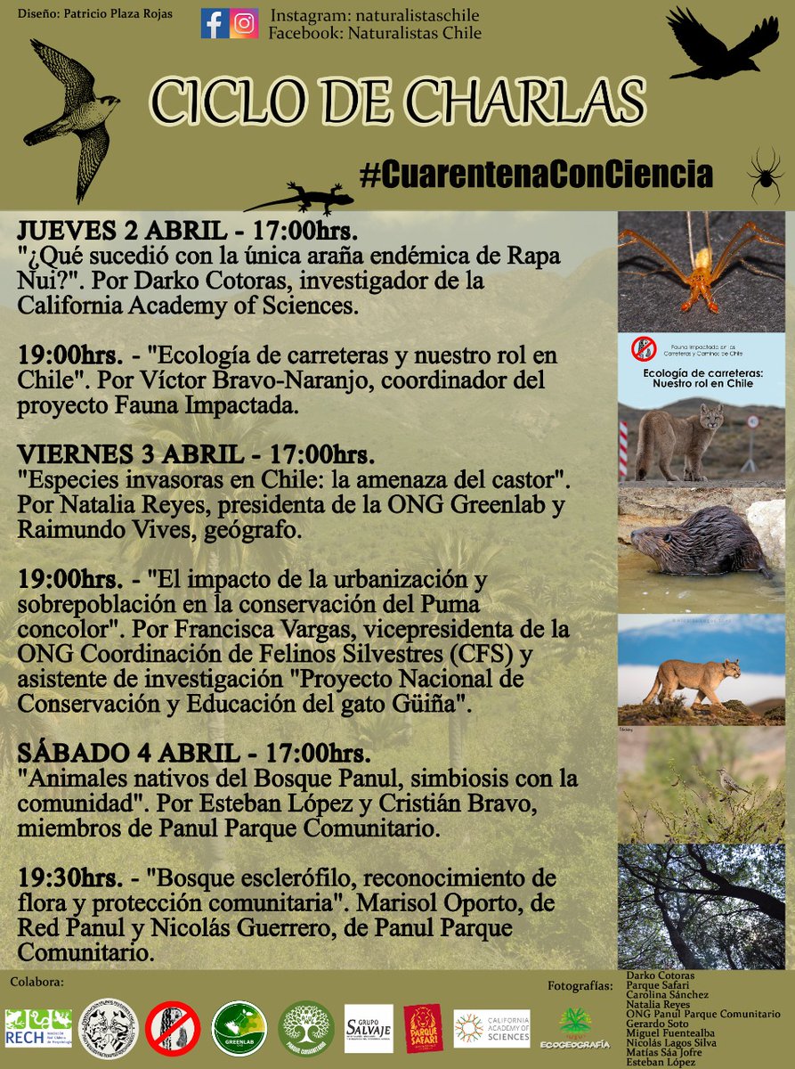 Fauna_impactada tweet media