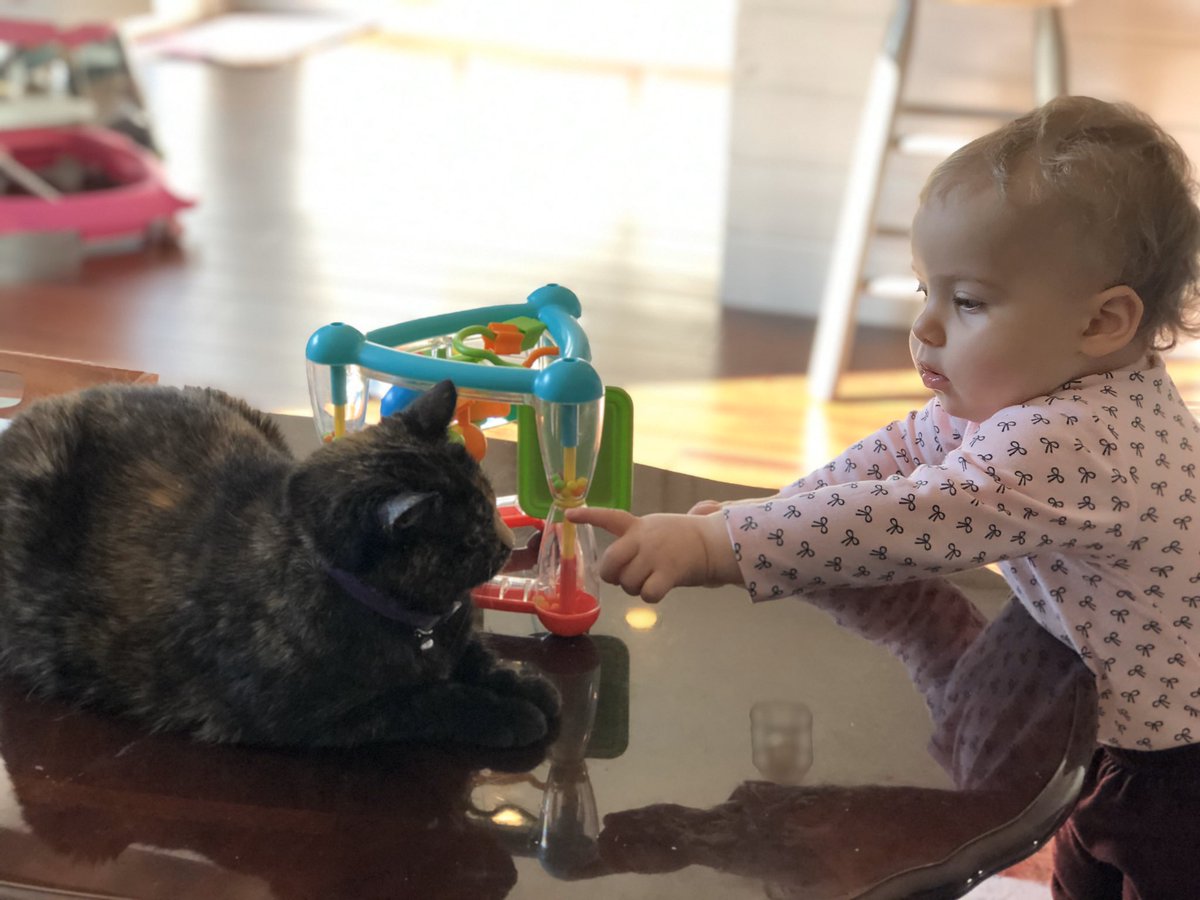 cmf5716's tweet photo. Day 8 of distance learning. We have already covered Reading, music, and Biology (apparently). With Lily down for a nap, I get to work on work on getting our newest Panthers registered. #21learns #StayHome #Poe_liveyourstory #distancelearning https://t.co/BYx4CziXiR