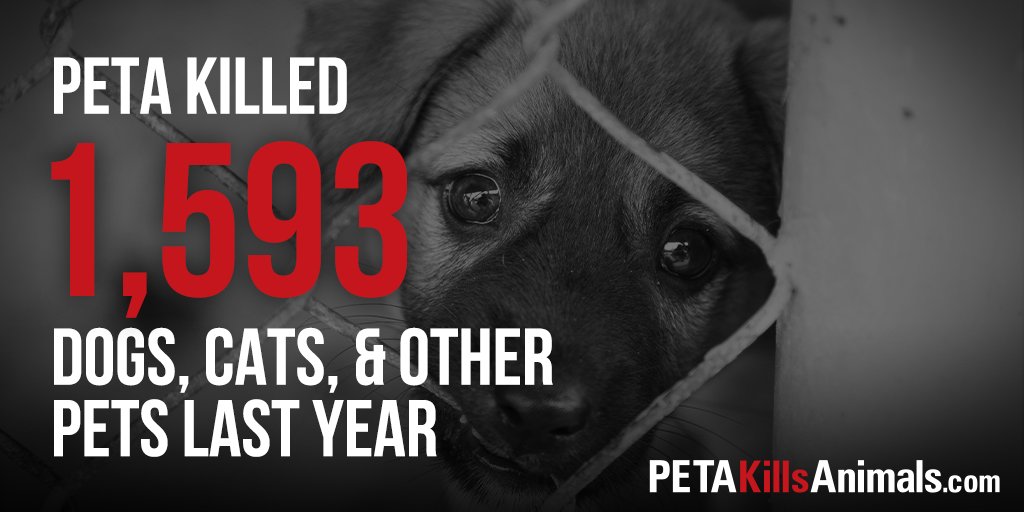 PETA Kills Animals в Twitter: „While most of the United States is at home, take a moment to share with your friends just how many animals PETA killed in its Virginia shelters PETA Kills Animals в Twitter: „While most of the United States is at home, take a moment to share with your friends just how many animals PETA killed in its Virginia shelters