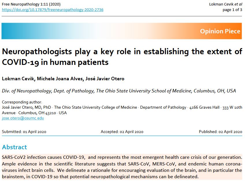 Free Neuropathology tweet media