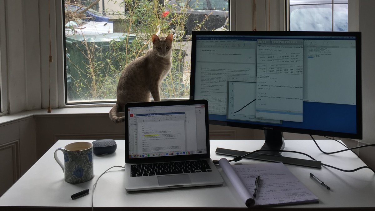 AdeleAitchison's tweet photo. Today's regression analysis workshop significantly improved by furry addition (until he stood on the keyboard and all hell broke loose) 😹 @GHSMatKCL #ProfStevie #kcl #ghsm #student #ocicat #cats #CatsOfTheQuarantine #stats https://t.co/7AKxlT40Pq