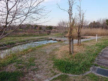 愛知県の川バーベキュー穴場まとめ q手ぶら 日帰り可能な場所を徹底解説 旅する亜人ちゃん