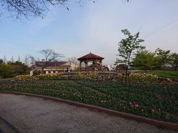 愛知県の川バーベキュー穴場まとめ q手ぶら 日帰り可能な場所を徹底解説 旅する亜人ちゃん