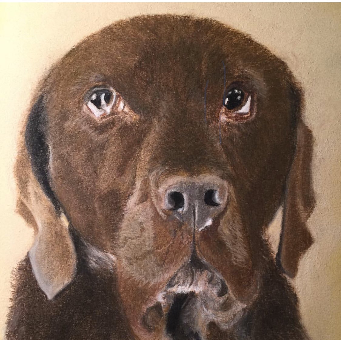 Free2Color's tweet image. 