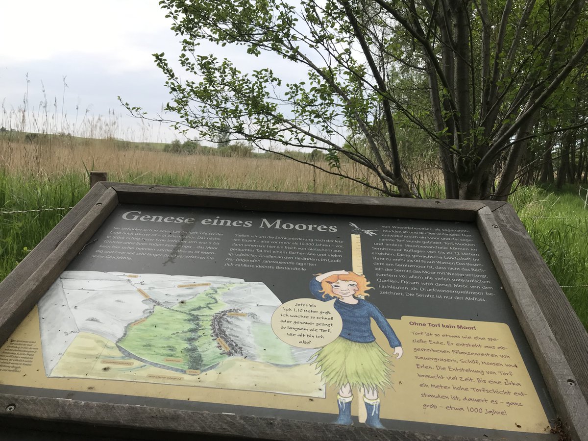 Uckermark_tmu's tweet photo. Im Zuge der Renaturierung des Sernitzmoor bei #Greiffenberg ist der Moorerlebnispfad Kavelwiesen entstanden. Die ca. 2 km lange Rundtour zeigt auf anschauliche und kindgerechte Weise die Aufgabe und die Wirkung eines Moores. #Uckermark https://t.co/ARsFcmLf6S