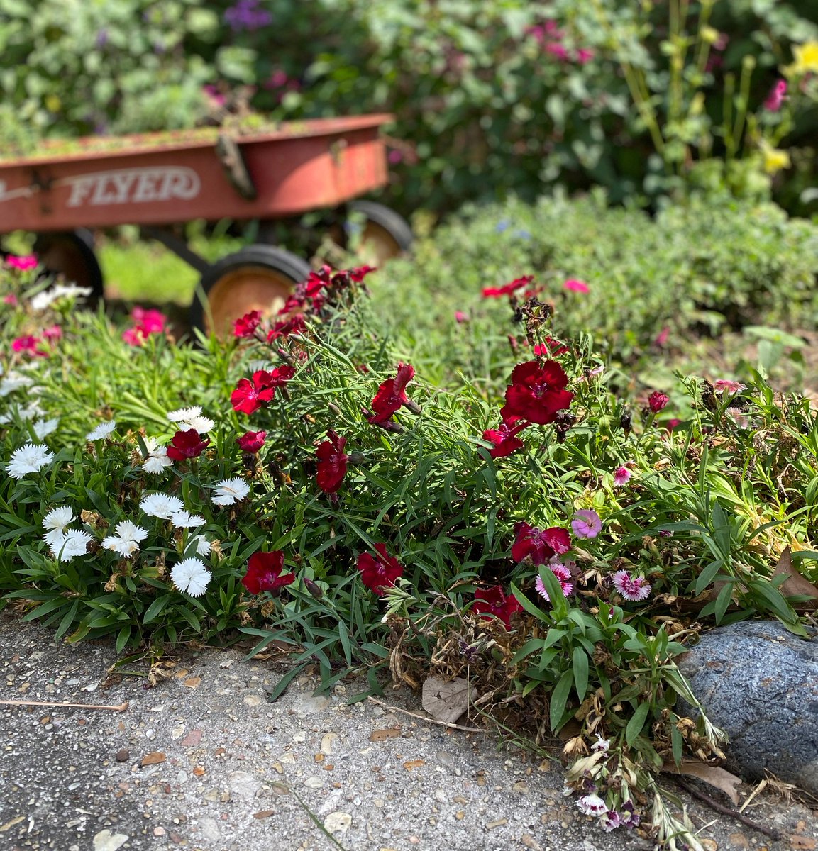 avectousspice's tweet photo. #AvecTousGoodMorning

/ AMOR FATI /
“Not merely bear what is necessary, still less conceal it….but love it.” - Friedrich Nietzsche

...
Click the link in our profile for the rest of this post. https://t.co/ZcESVcyrzF