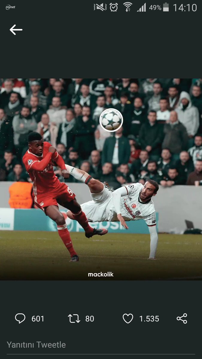 cadibelli's tweet photo. @CenkTosun_ @mackolik https://t.co/E62GUpVsWh