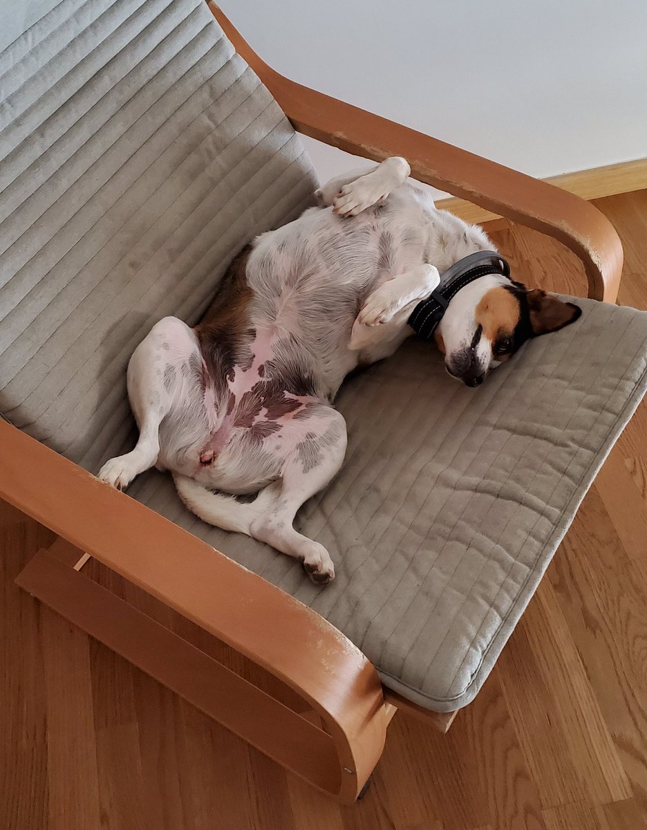 INGENIERA MAGROSA tweet media