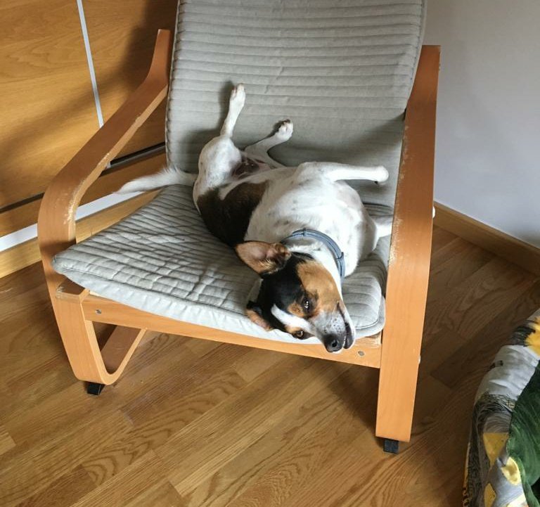 INGENIERA MAGROSA tweet media