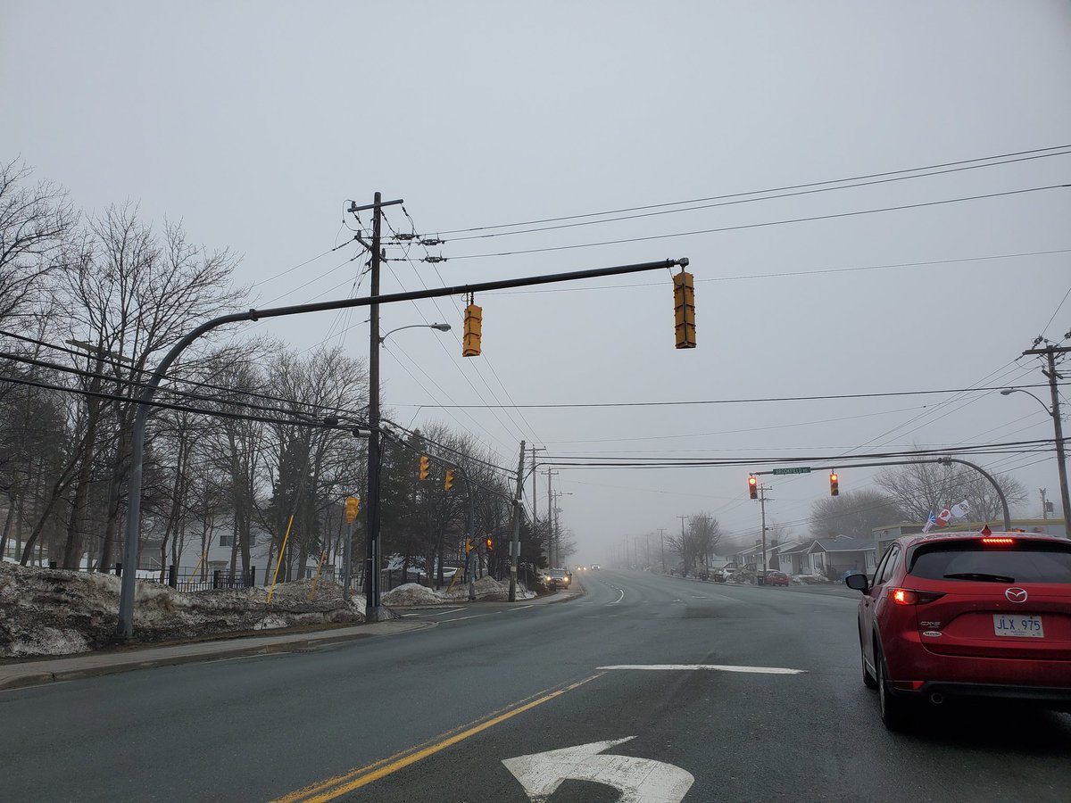 dottiemaggie's tweet image. This is PERFECT weather!
No sun hurting my eyes, and it inspires getting right into bed under a snuggly blankie.

There is nothing I love more in the morning than heavy fog and a drizzle.

#nightshiftlife