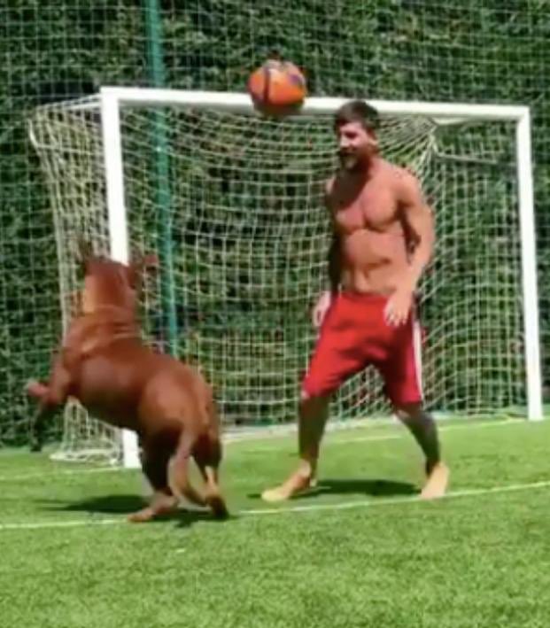 _OMaestro_'s tweet photo. Ces footballeurs qui s’amusent avec leur chien 🤩 https://t.co/HRyFPIToIy
