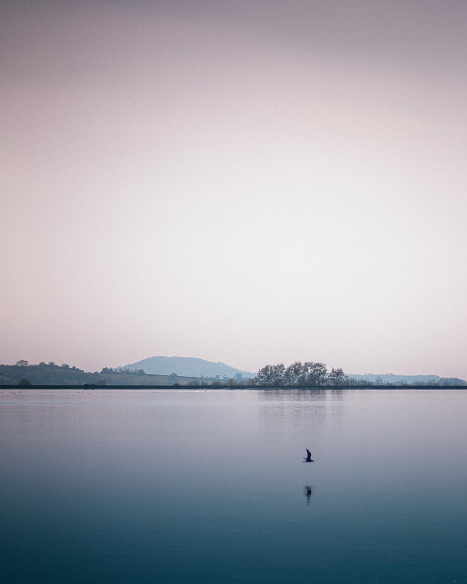 justjamesmedia's tweet photo. Cheddar Reservoir.
.
.
.
.
.
#cheddar #cheddarreservoir #reservoir #somerset #somersetphotographer #somersetlife #somersetlifemagazine #reflectionphotography #uklpoty #landscapephotography #landscape #birdreflection #southwestukphotographers #bbcwest #twilightedits #swisbest https://t.co/2kUI7cqrGH