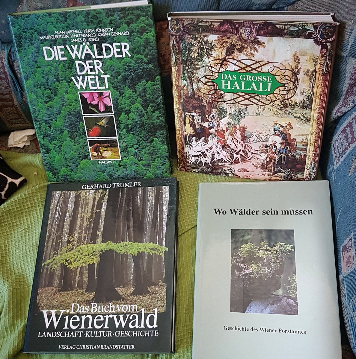 frauvonwald's tweet photo. So eine schöne Überraschung! Eine Bekannte hat die Bücher vor Monaten zum Verkauf angeboten, dann haben wir es nie geschafft, uns zur Übergabe zu treffen, und heute kam das Paket. #wald #forest #forstamt #ma49 #jagd #hunting #buchliebe #booklover #surprise #forestbook #wienerwald https://t.co/Um6CVMWz30