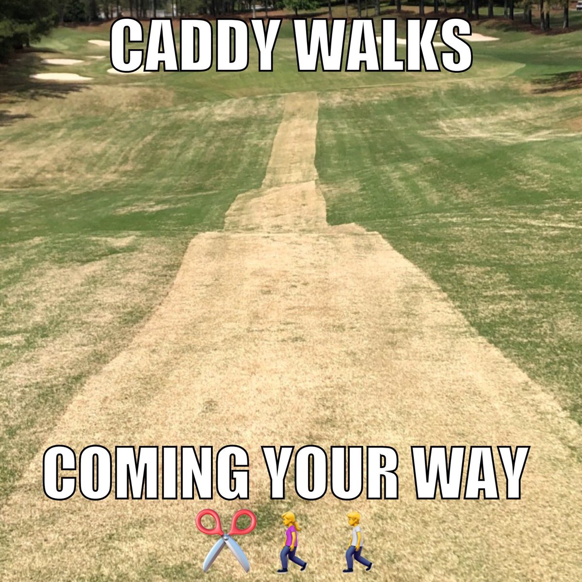 With a lot more golfers walking under the safe social distancing guidelines Turf Care is going to start mowing in a ‘caddy walk.’